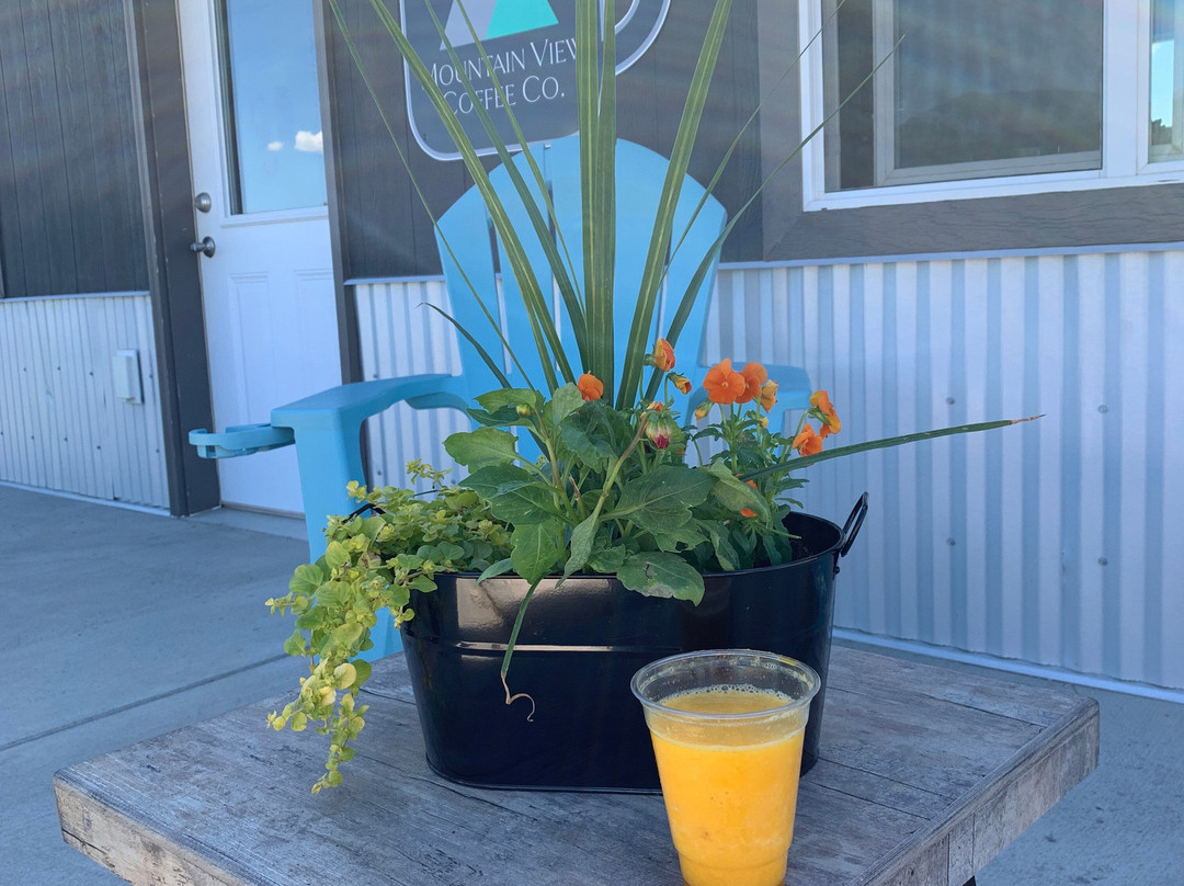 Mountain View Coffee Company