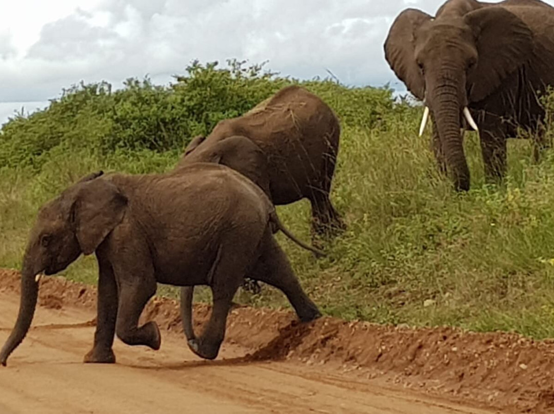 Wild Experience Africa-Wakiso必去景点