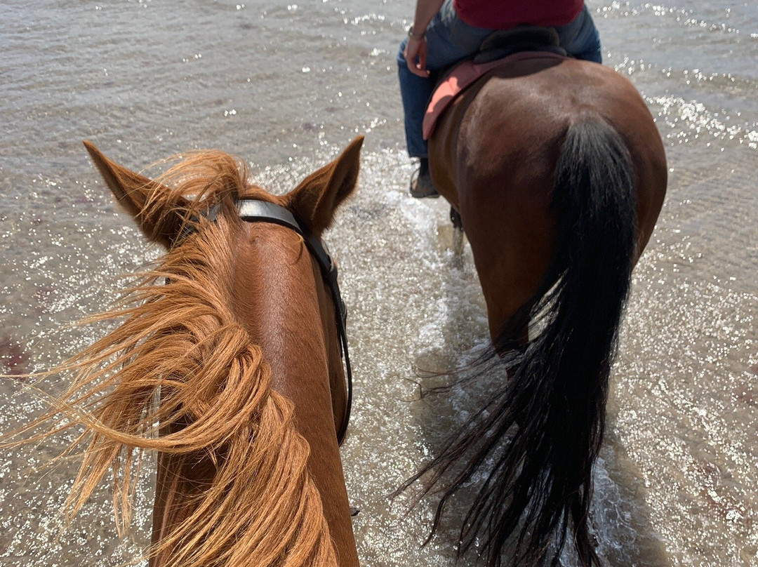 Rossbeigh Beach Horse Riding Centre-Glenbeigh必去景点
