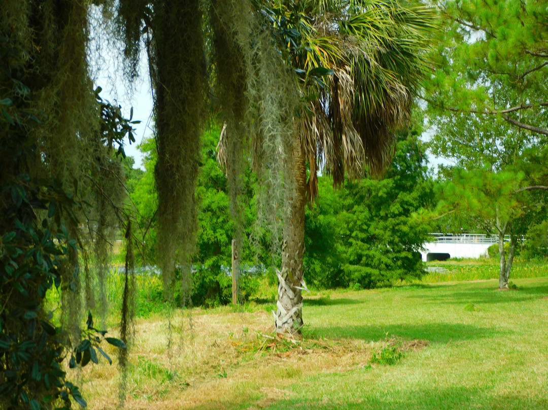 Bayhead Action Park-拉哥必去景点