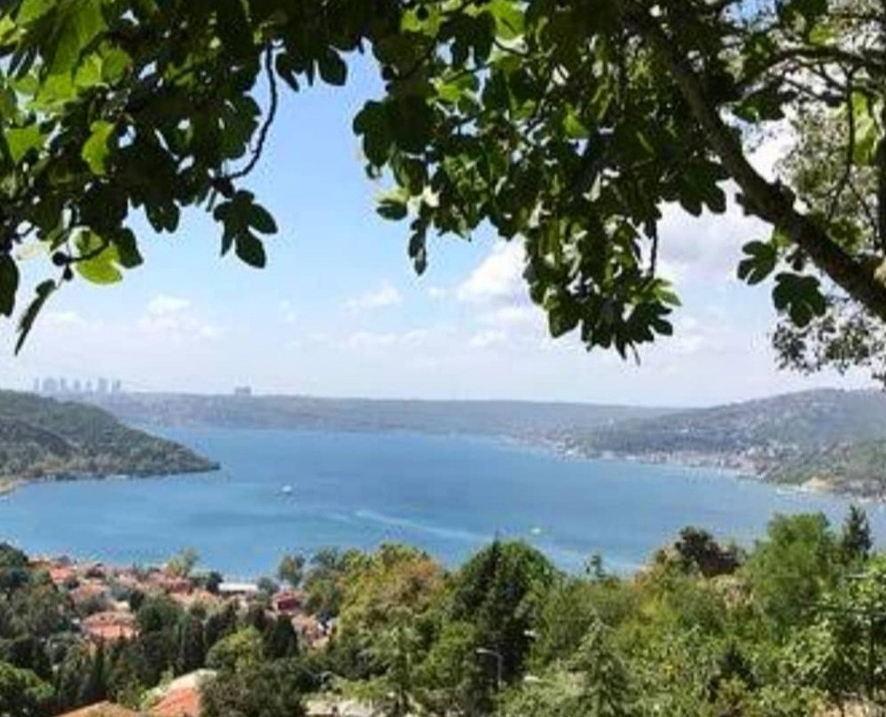 Ordu Yoroz景点图片