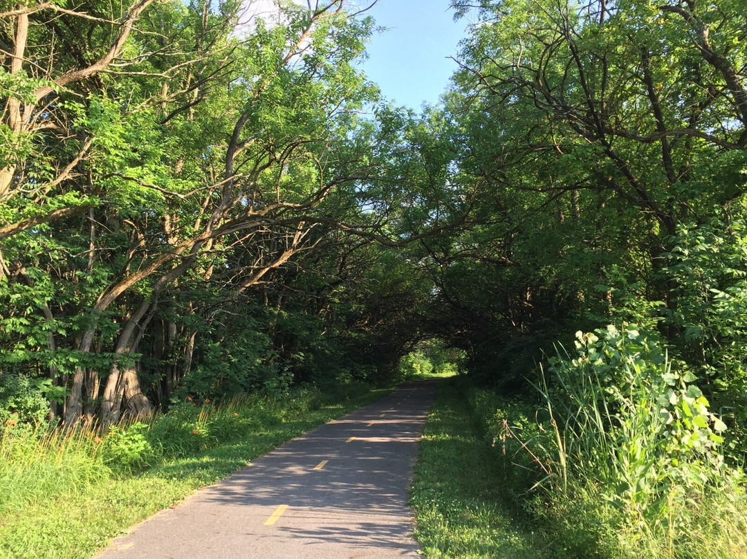 Big Walnut Trail-韦斯特维尔必去景点