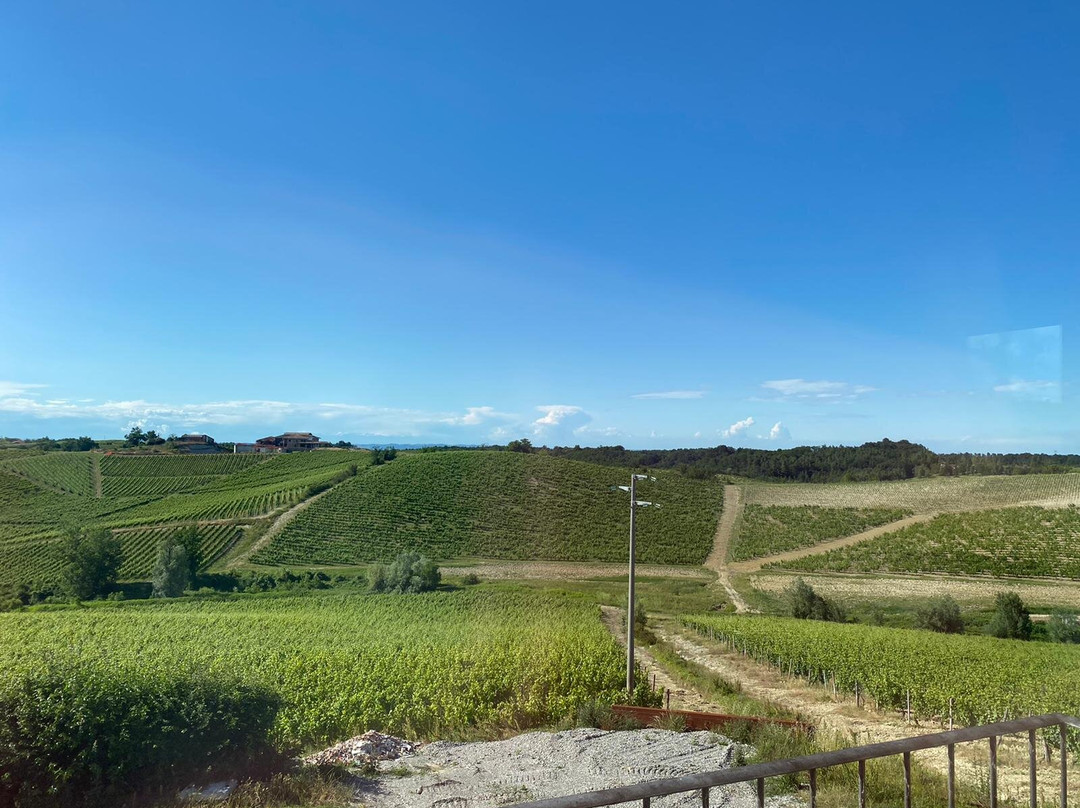 Broglia Societa Semplice Agricola景点图片