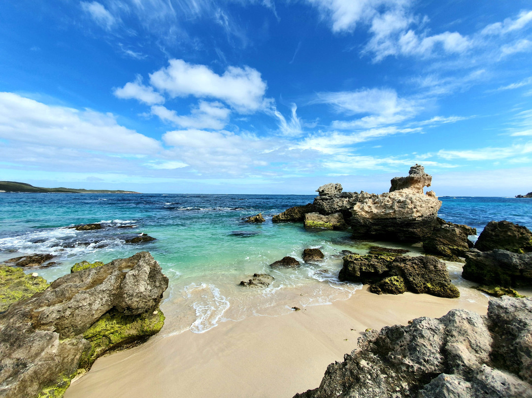 Harvest Tours-Cowaramup必去景点