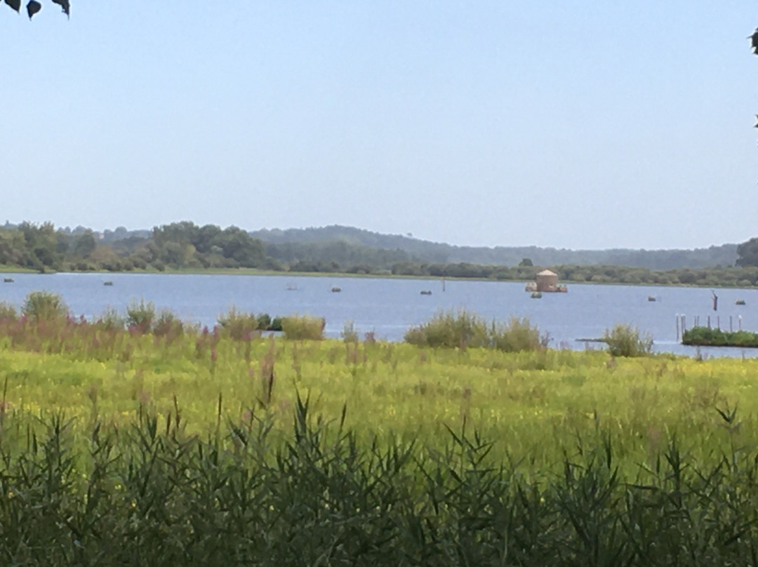 Natural reserve of Marais d'Orx景点图片