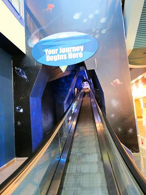 Hampton Roads Naval Museum-诺福克必去景点