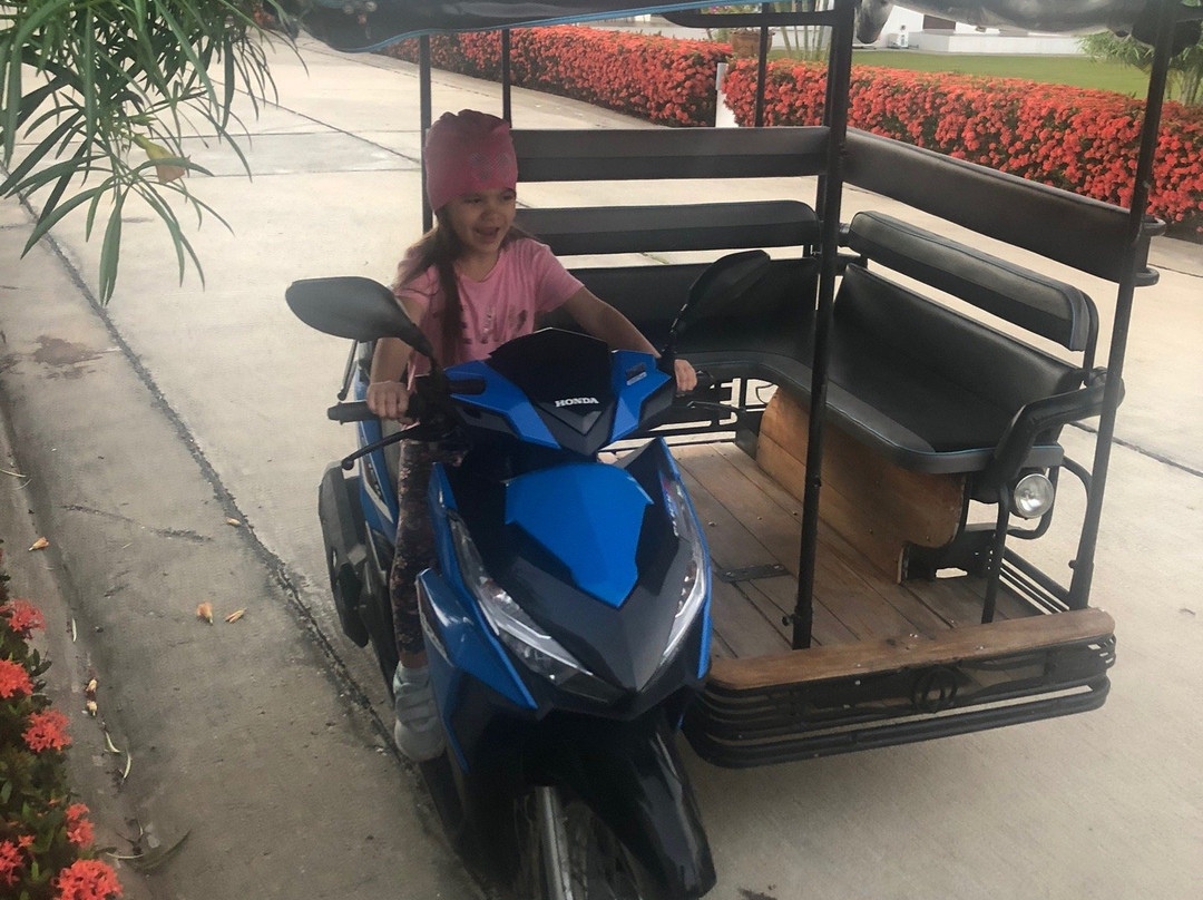 Mango Beach Resort主图