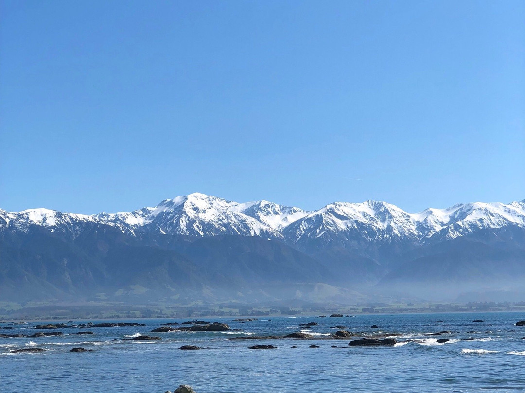 Kaikoura Lookout景点图片