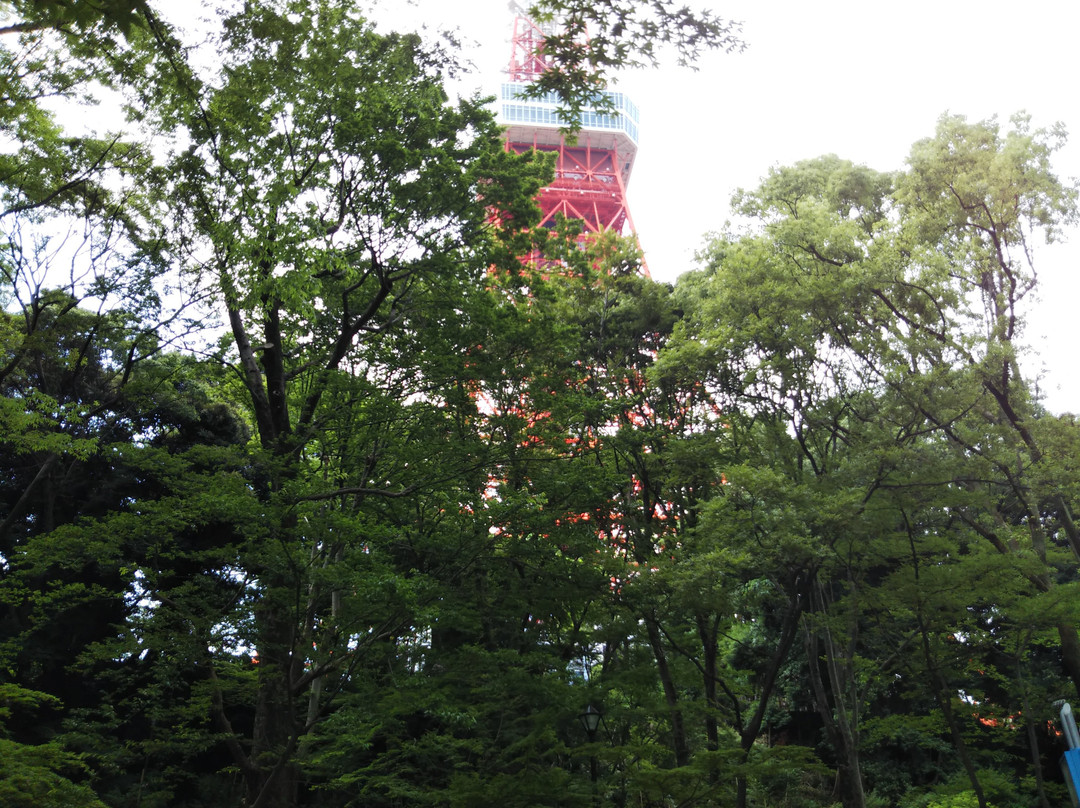 Momiji Valley景点图片