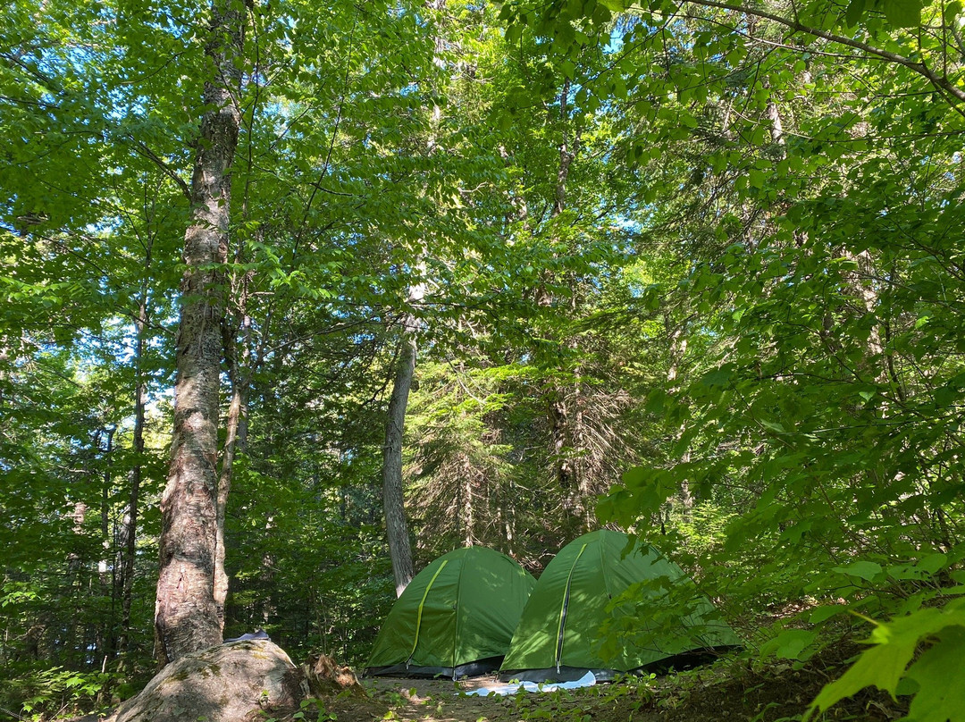 Reserve Faunique Mastigouche-Saint-Alexis-des-Monts必去景点