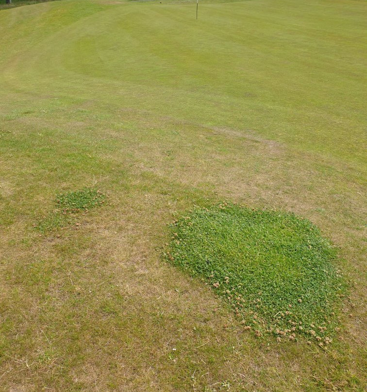 Rowallan Golf Course景点图片