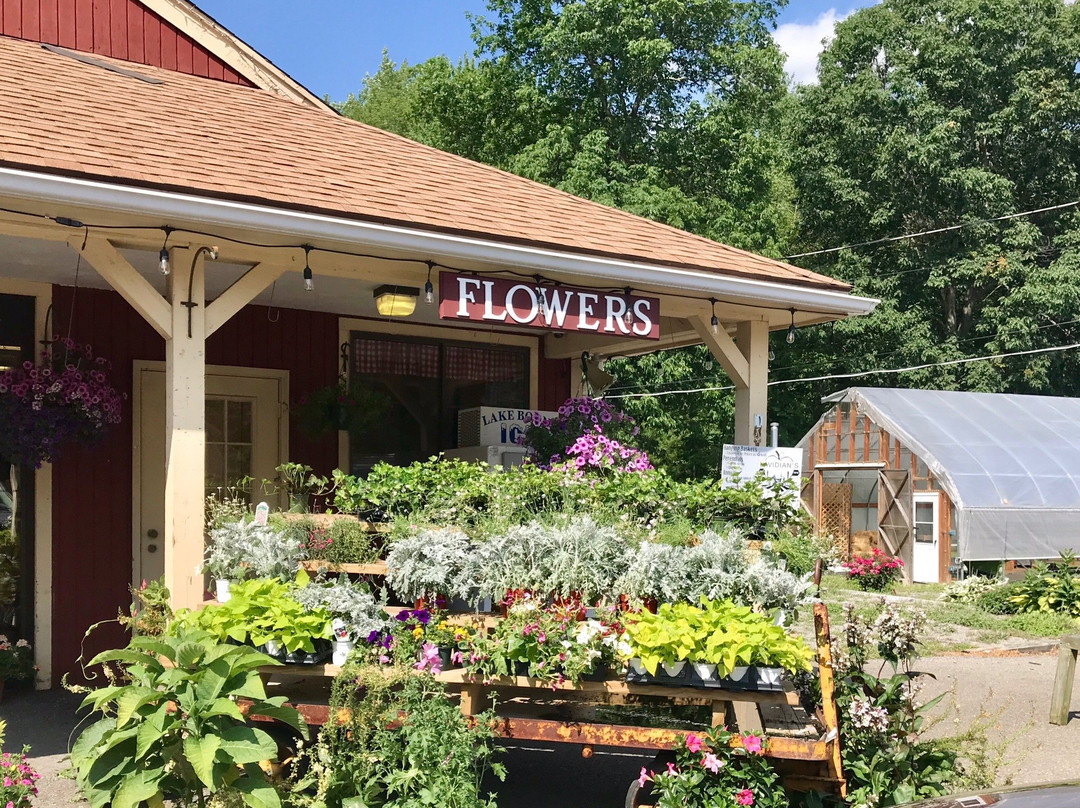 Davidian Bros. Farm-诺斯伯勒必去景点