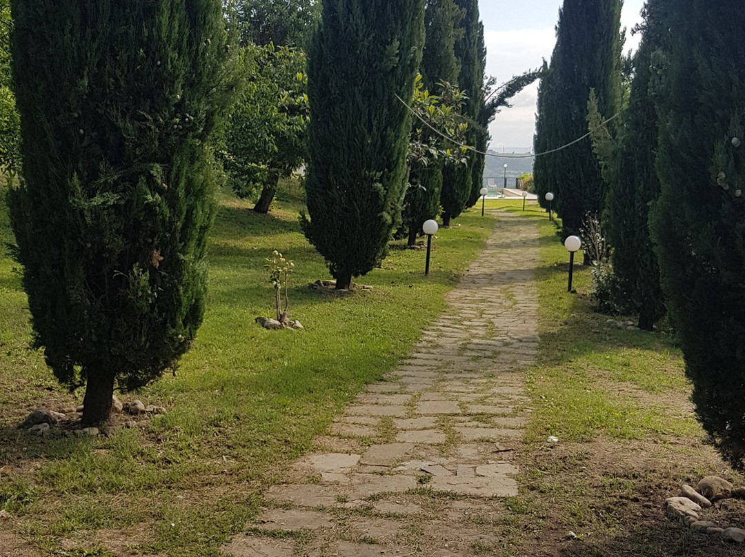 Bio Agriturismo Olistico Valle dei Calanchi主图