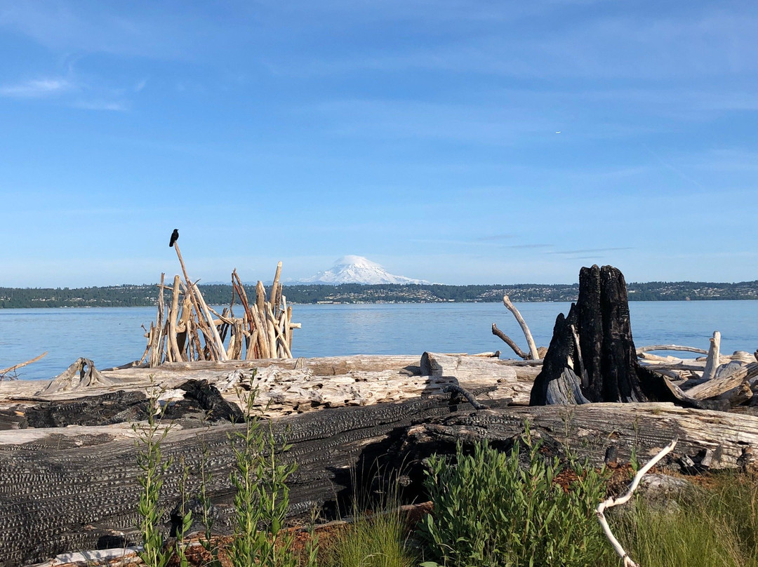 Point Robinson Park-Vashon必去景点