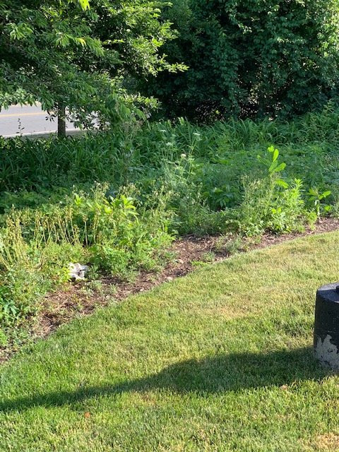 Residence Inn Shelton Fairfield County主图