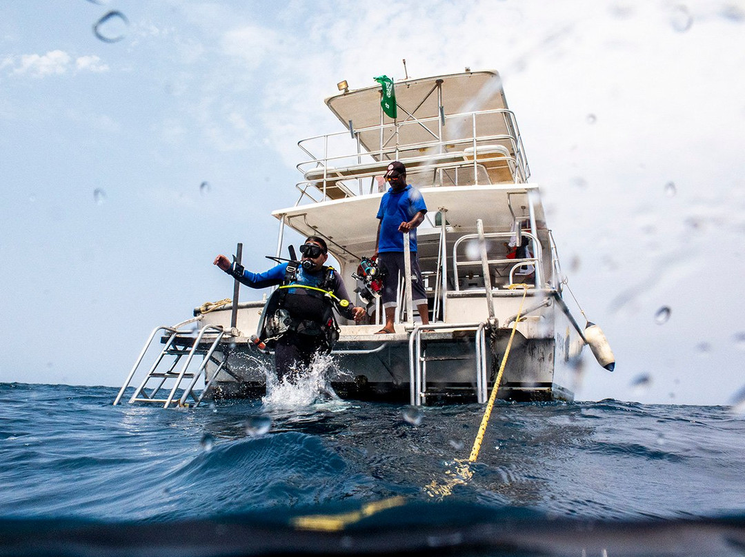 Hope Of Spring Dive-吉达必去景点
