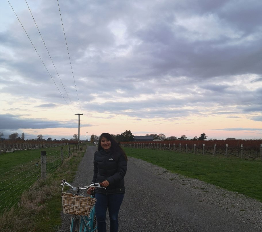 Bike 2 Wine景点图片