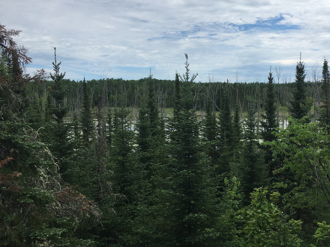 Echo Bay Trail景点图片