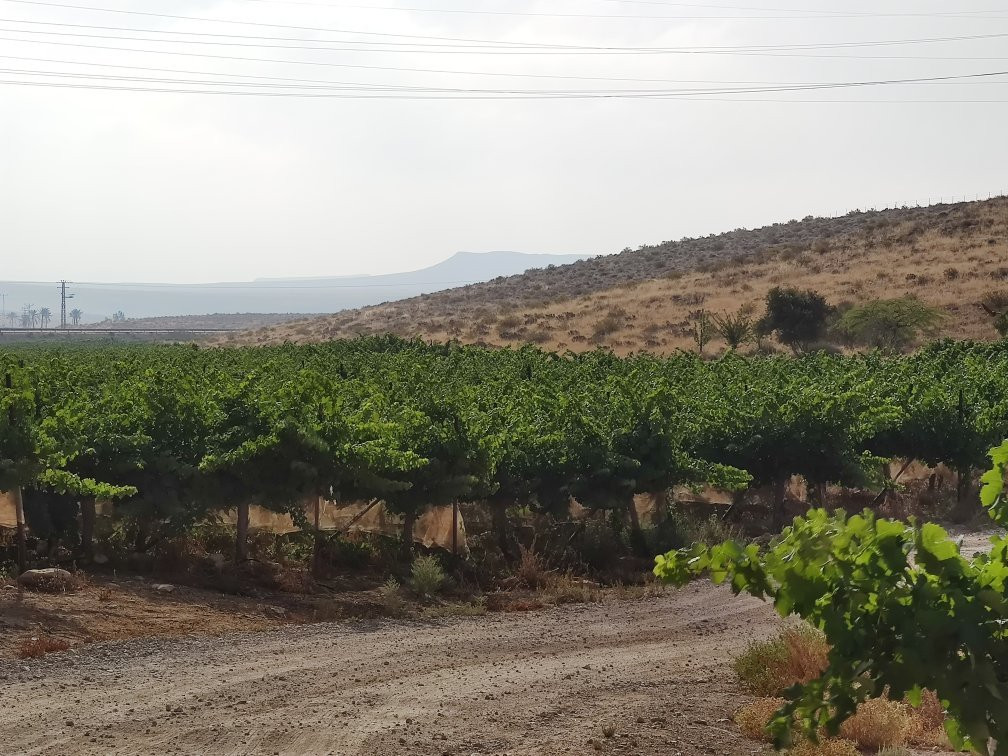 Carmey Avdat-Sde Boker必去景点