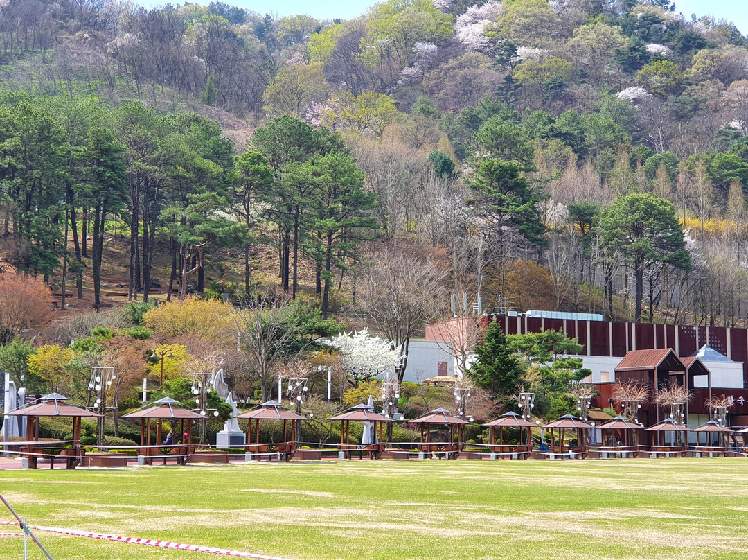 Ppuri Park-大田必去景点