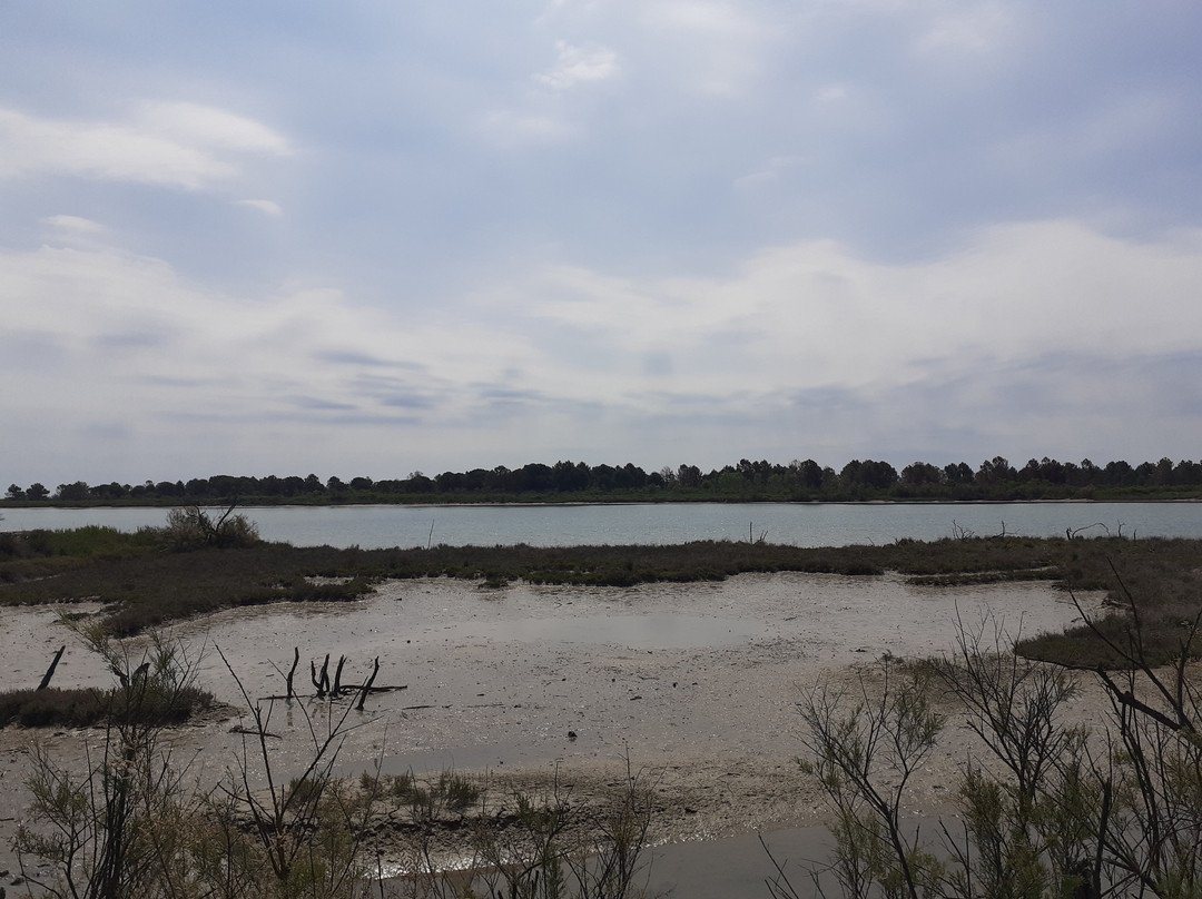 Laguna del Mort-Eraclea Mare必去景点