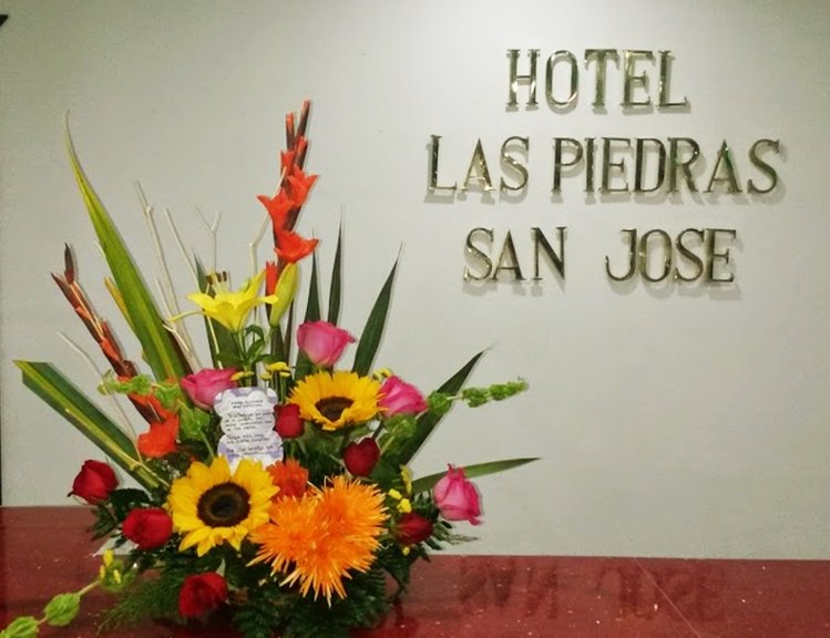 Hotel Las Piedras San Jose-浴室