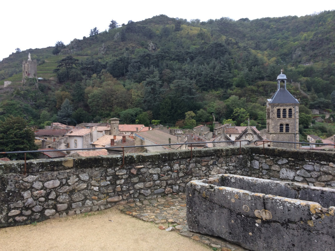 Château-musée De Tournon Sur Rhône景点图片