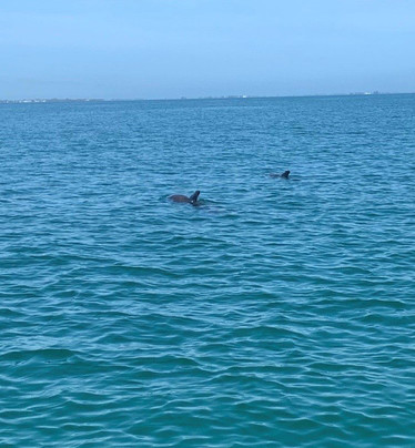 All Island Watersports-迈尔斯堡海滩必去景点