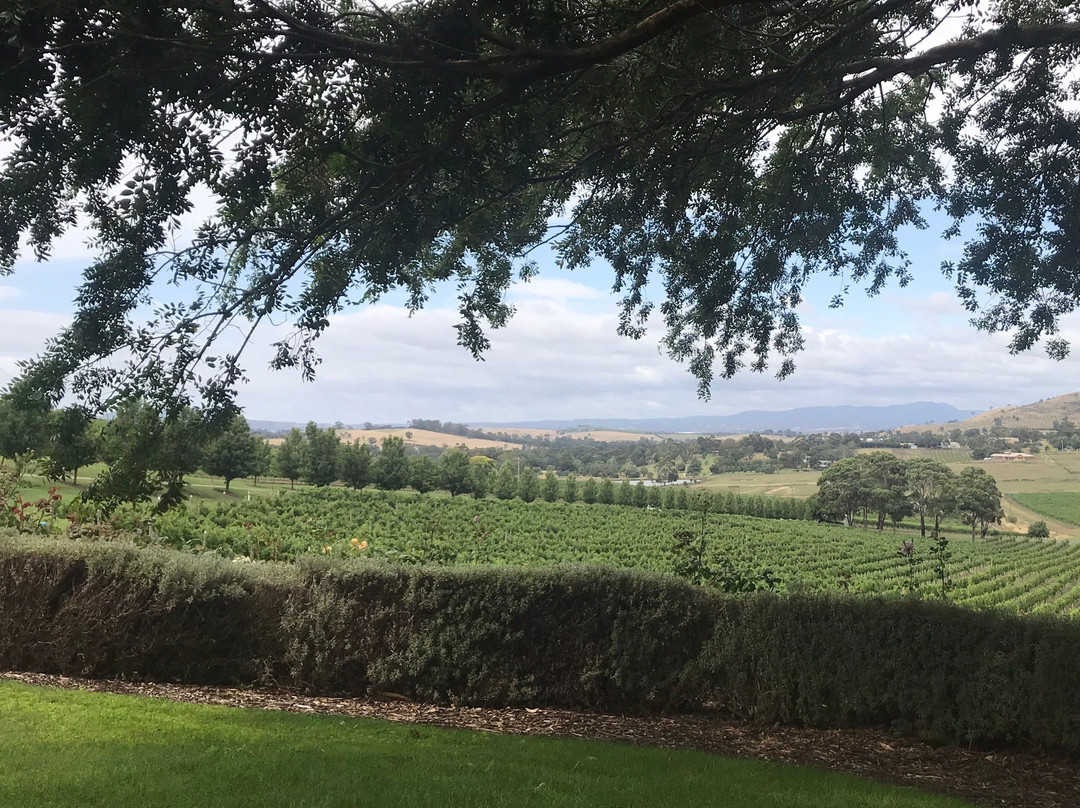 De Bortoli Winery景点图片