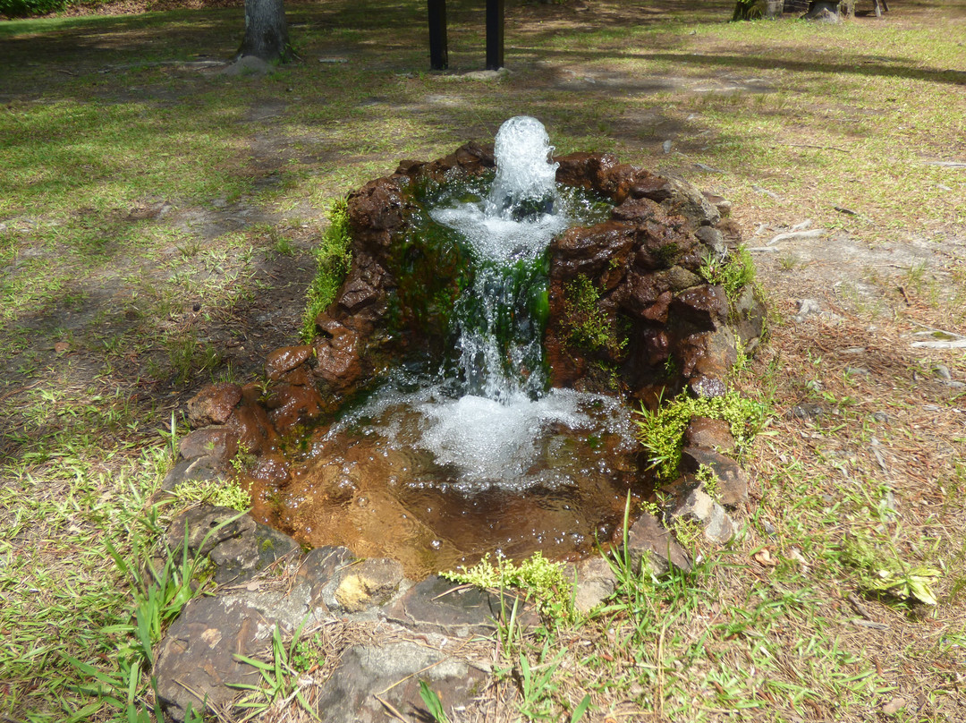 Lee State Park-Bishopville必去景点