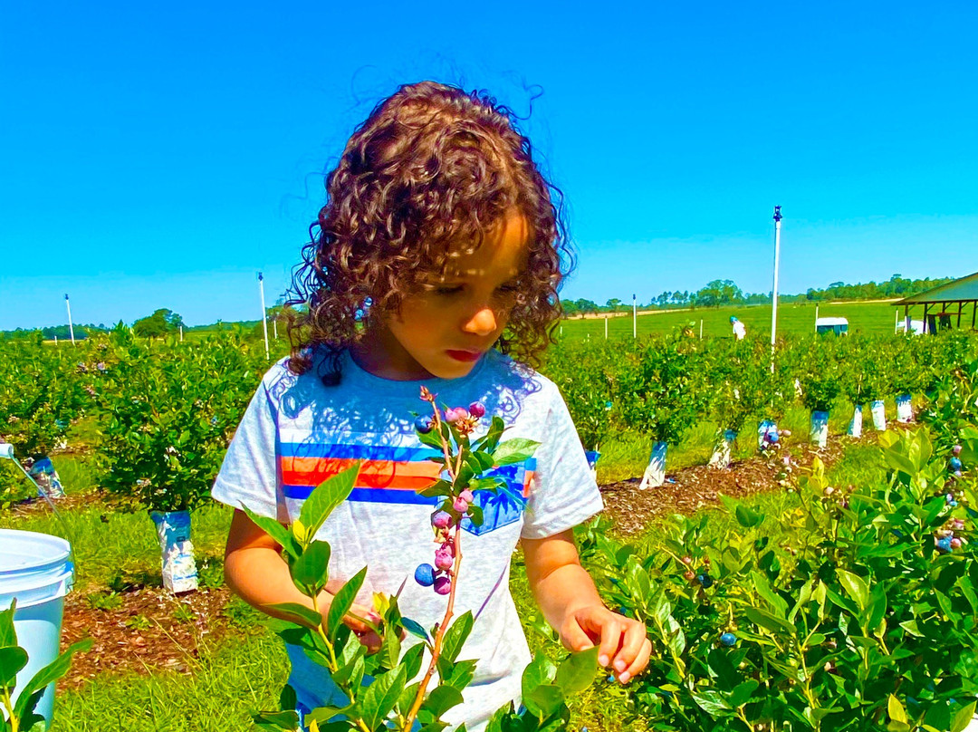 Amber Brooke Farms Williston-Williston必去景点