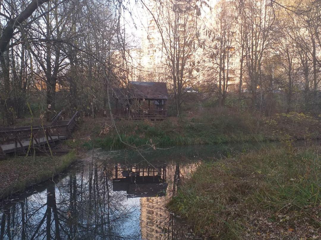 Troparevsky Forest Park景点图片