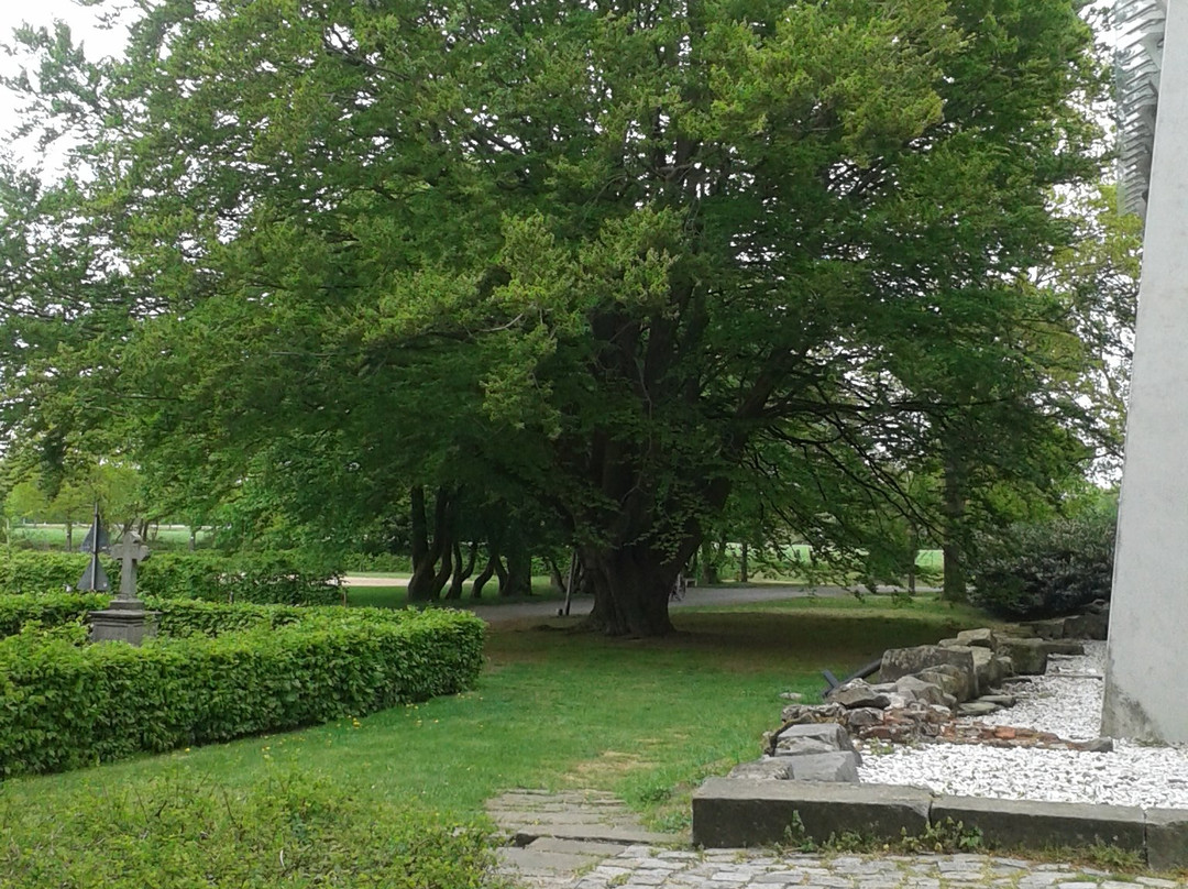 Kloster Frenswegen景点图片