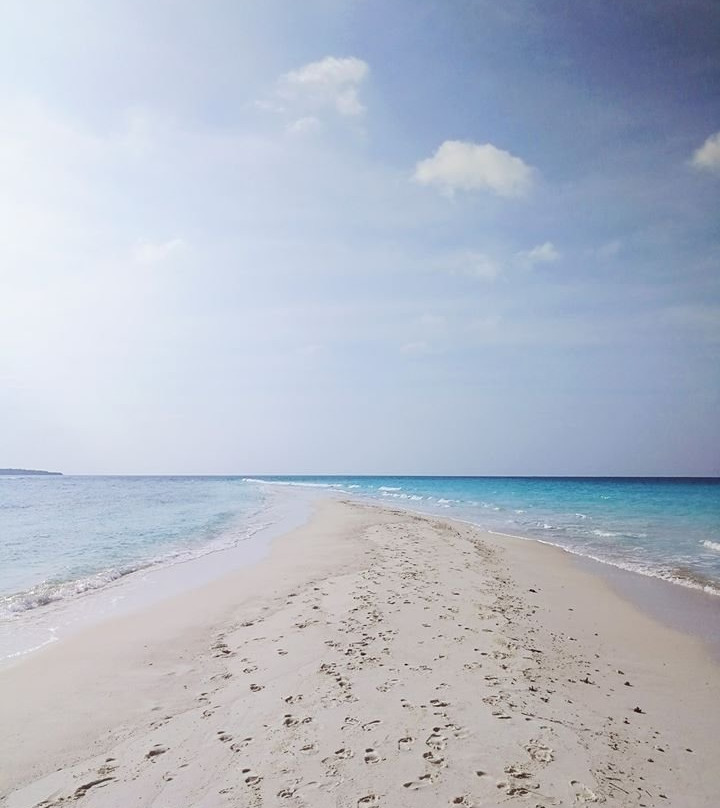 瓦沙法鲁酒店主图