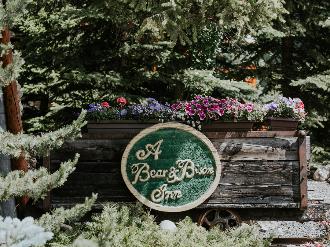 熊及野牛乡村酒店主图