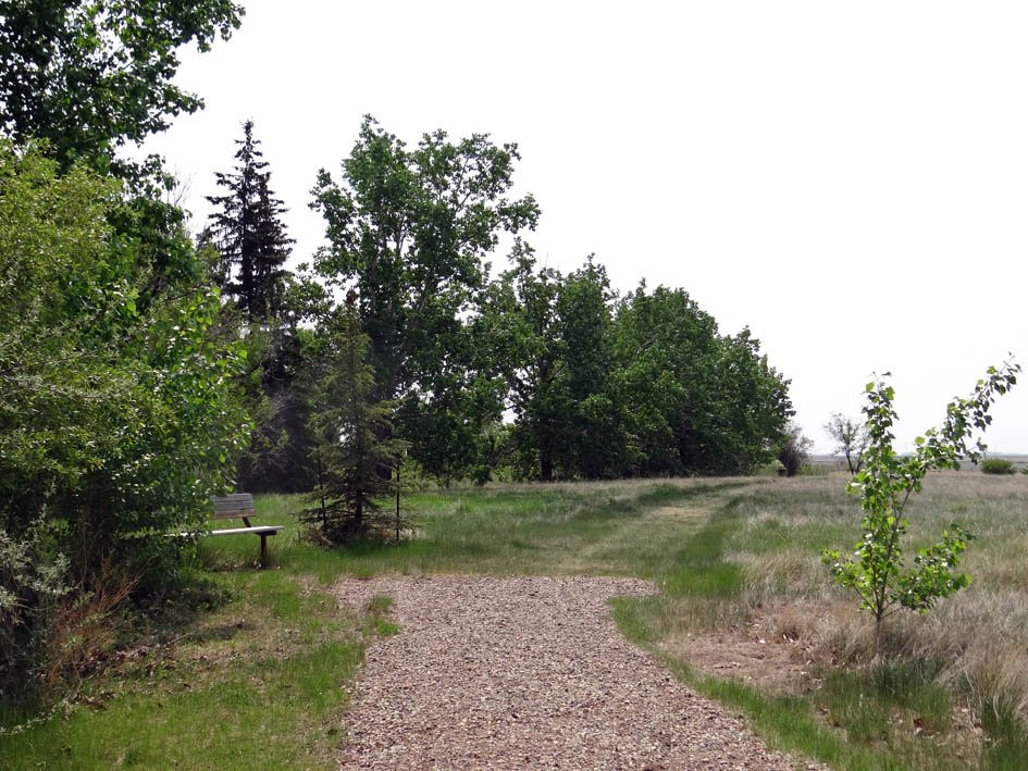 省立蒂尔布鲁克公园 -布鲁克斯必去景点