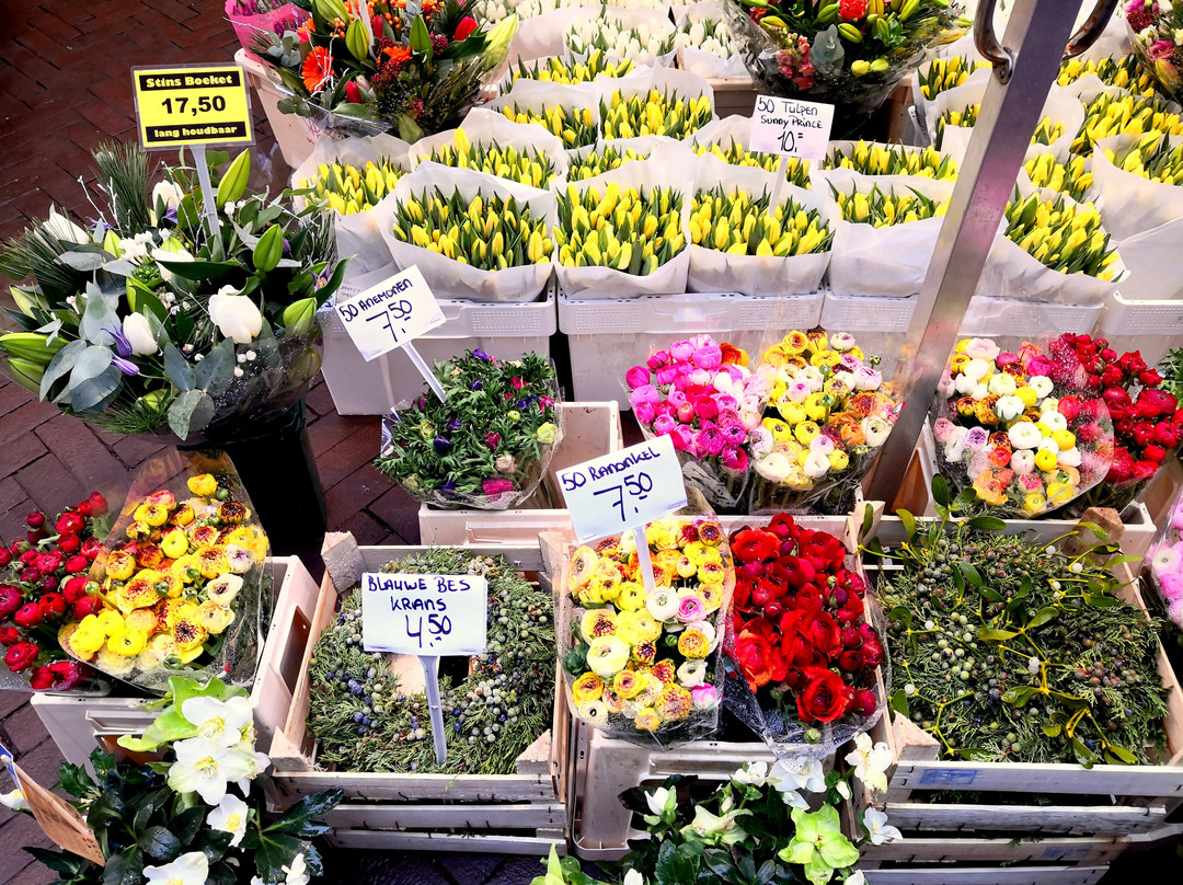 花卉市场景点图片