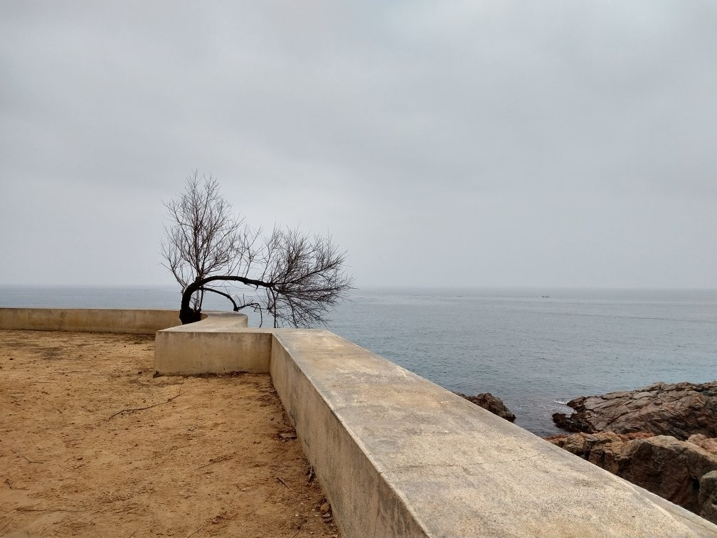 Chemin de Ronde景点图片