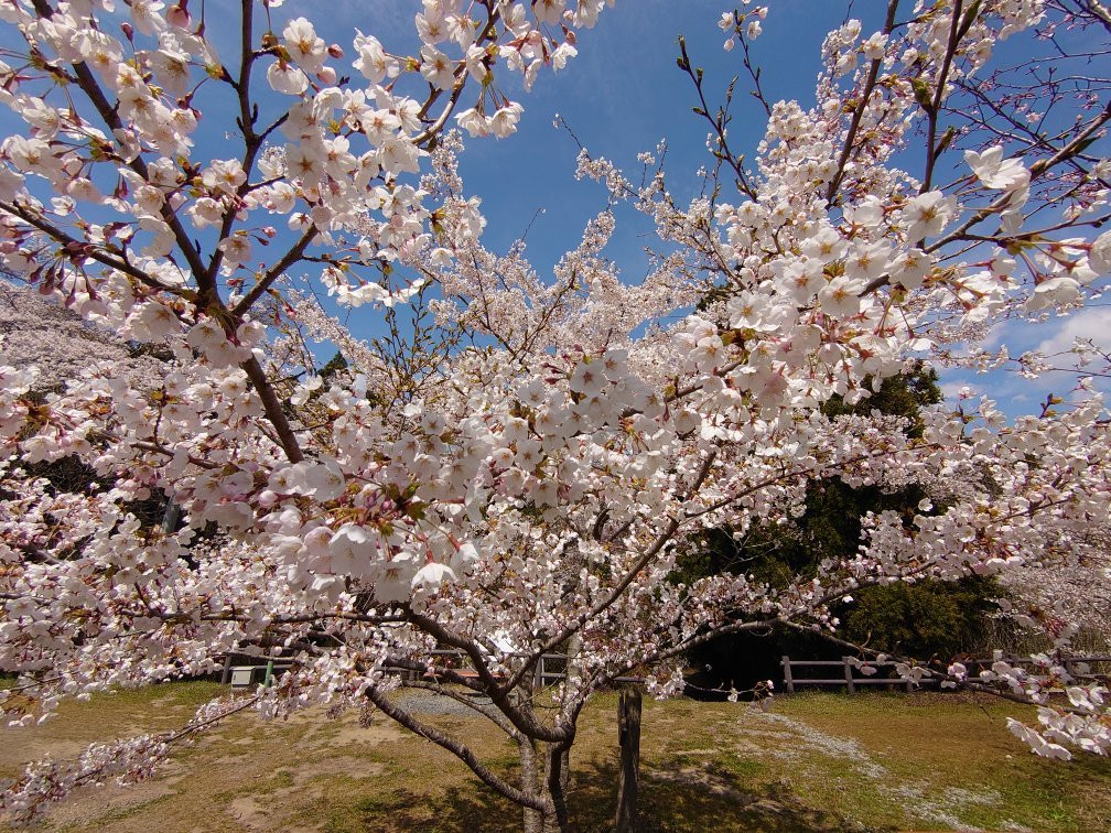 Takiyama Park