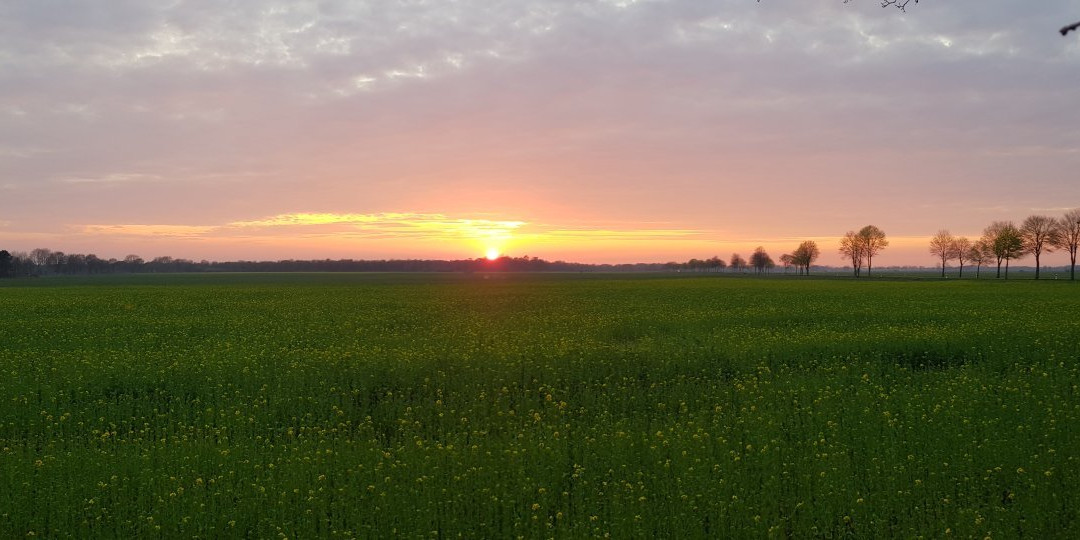 Moorpfad-Tarmstedt必去景点