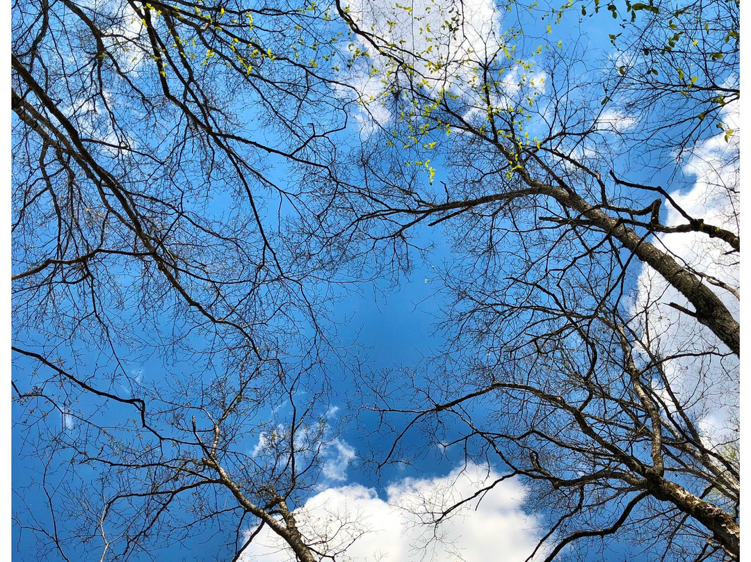 Fall Hollow Falls-Hohenwald必去景点