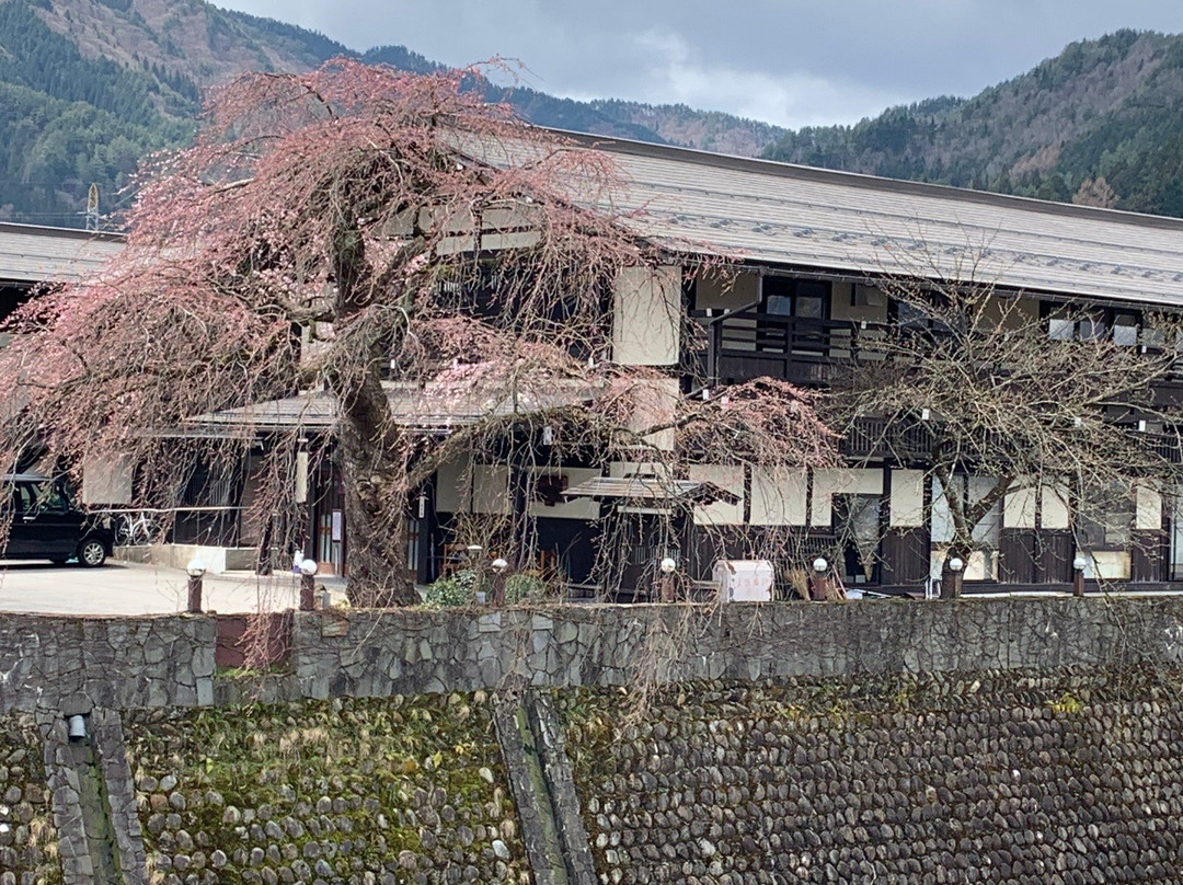 Araki-gawa River Hiking Trail-飞弹市必去景点