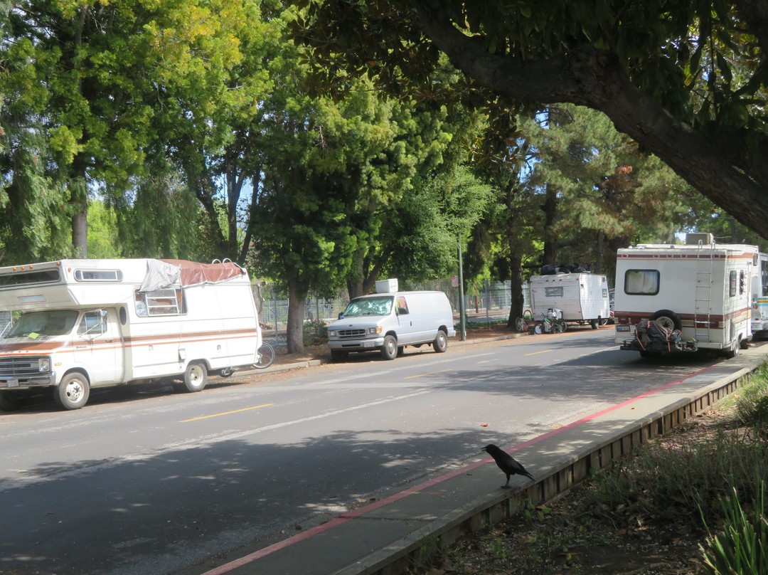 Rengstorff Park & Pool-山景城必去景点