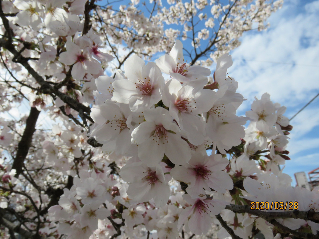 Nagatoromachi Tourist Information Center-长瀞町必去景点