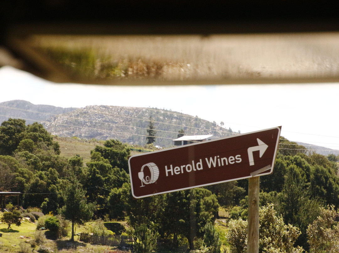 Golden Lion Adventures-Sedgefield必去景点