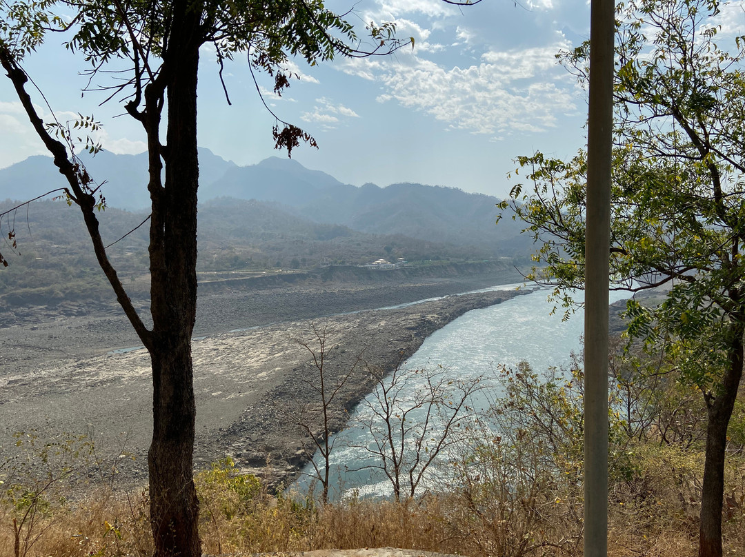 Valley of Flowers景点图片