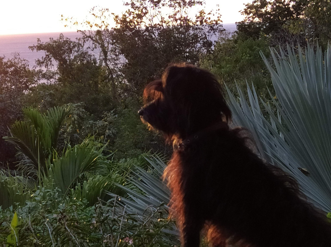 Rochers Caraibes-eco Village主图