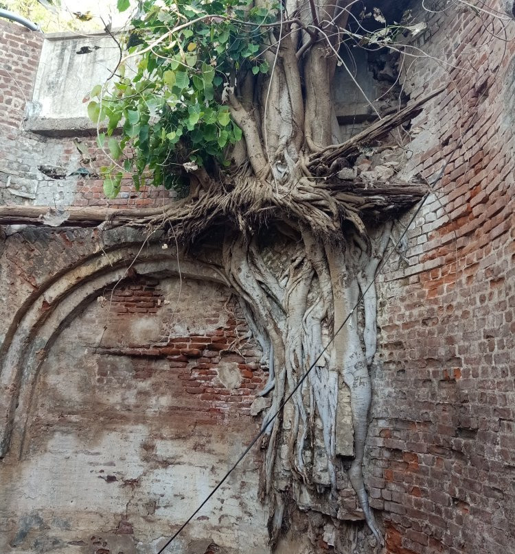 A Home For Nature Lovers主图