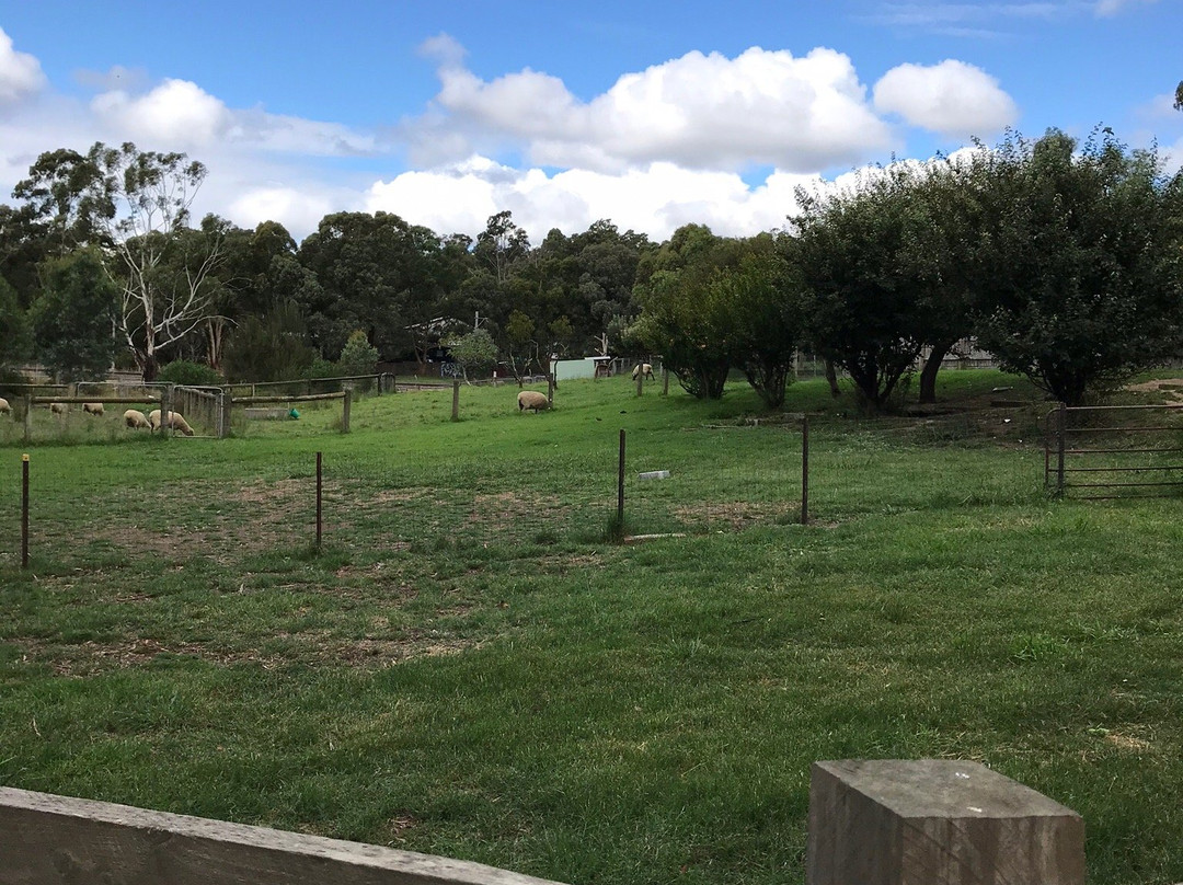 Edendale Community Environment Farm景点图片