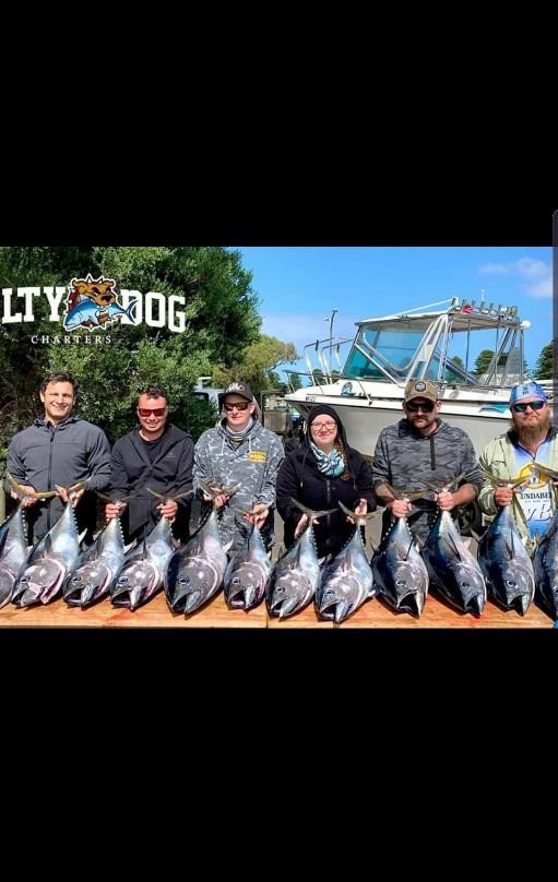 Salty Dog Charters-仙女港必去景点